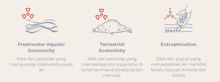 Sustainability Katun Konvensional: Pestisida dan Produktivitas Tanaman​