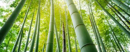 katun vs serat bambu