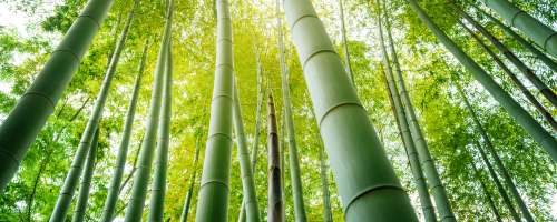 katun vs serat bambu katun vs serat bambu